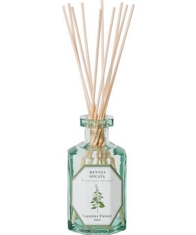 Carrière Frères Spearmint Room Fragrance Diffuser