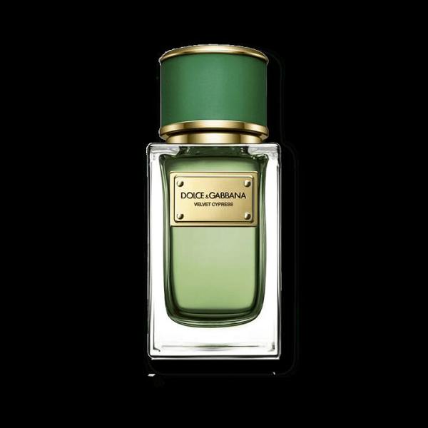 Dolce & Gabbana Velvet Cypress EDP