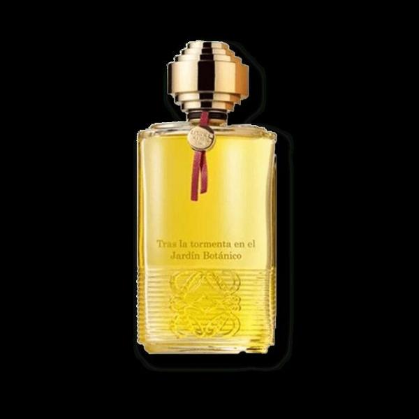 Loewe Tras La Tormenta Jardin Botanico Jardin Botanico EDP