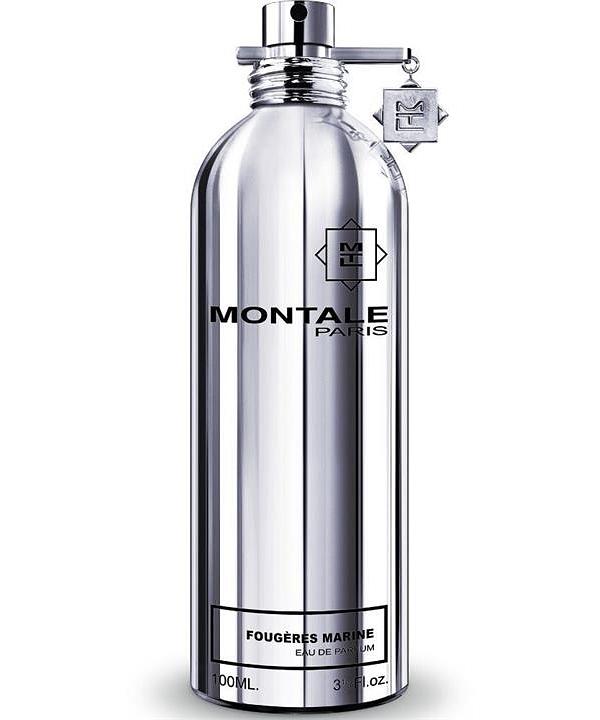 Montale Paris Montale Fougeres Marine EDP