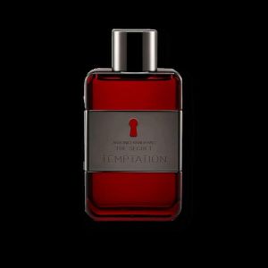 The Secret Temptation EDT, 100ml Tester