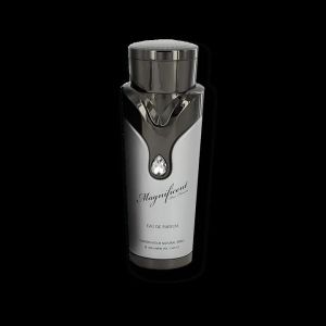 Magnificent EDP For Men