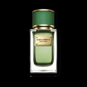 Velvet Cypress EDP