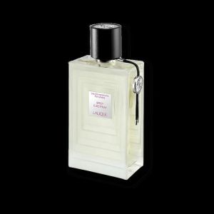 Les Compositions Parfumees Spicy Electrum EDP